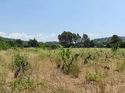 Terrain à bâtir, 1 180 m²