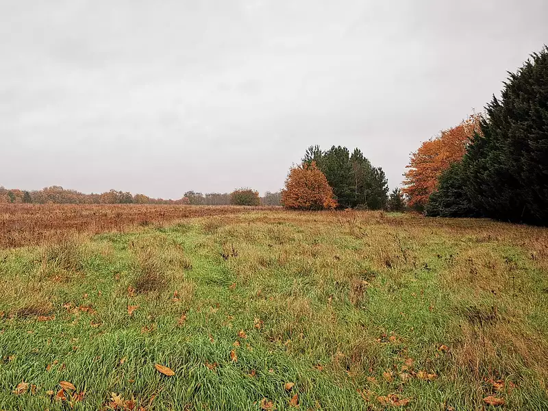 Terrain à bâtir, 890 m² - Saint-Epain (37800)