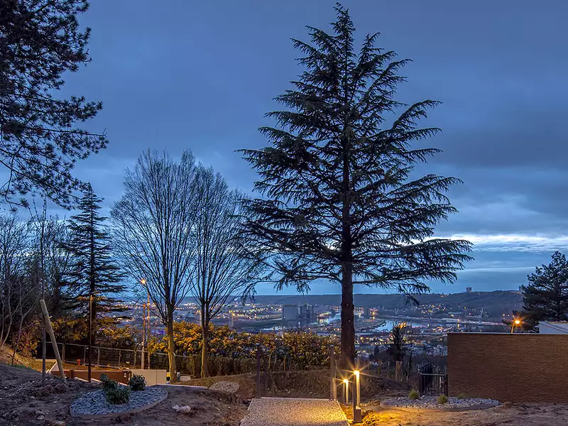 Parc Bellevue - Mont-Saint-Aignan (76130)