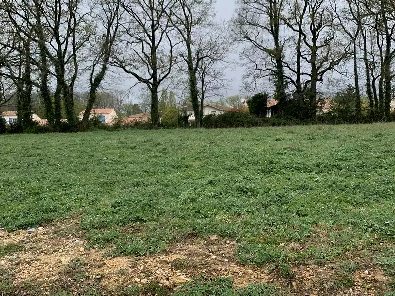 Terrain à bâtir, 386 m² - Mortagne-sur-Sèvre (85290)