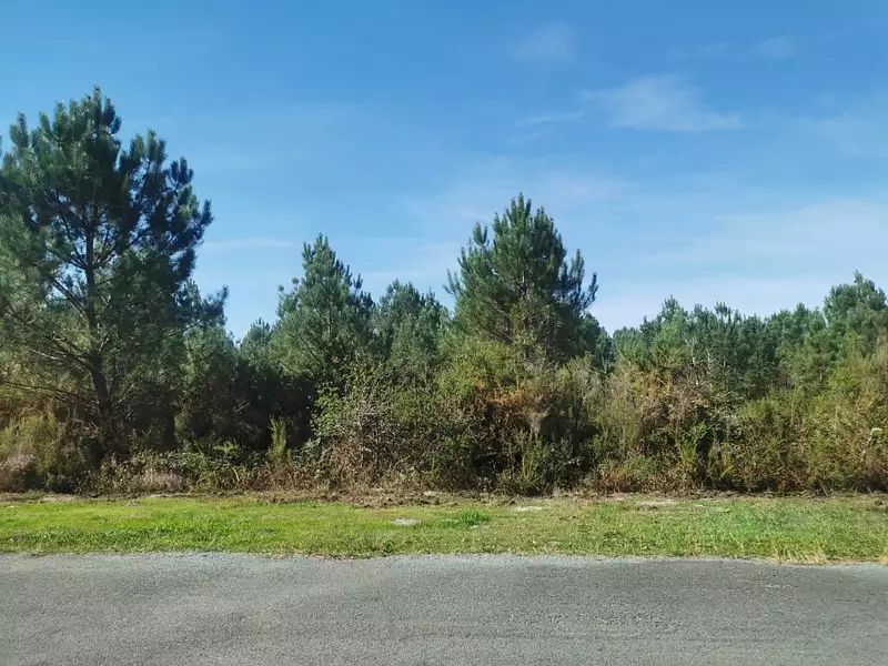 Terrain à bâtir, 928 m² - Salaunes (33160)