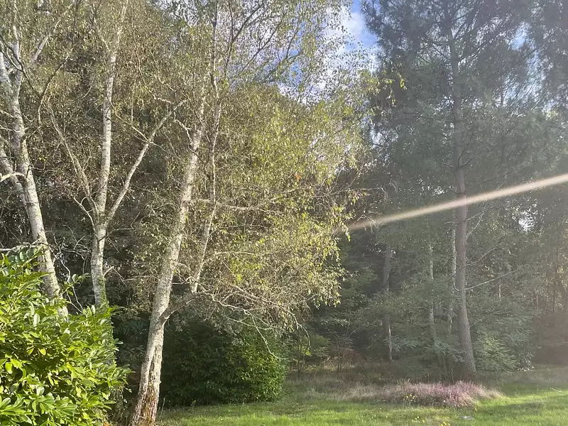 Terrain à bâtir, 420 m² - Le Pian-Médoc (33290)