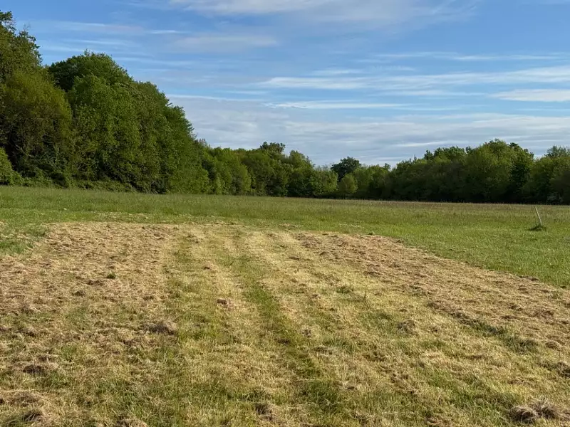 Terrain à bâtir, 1 050 m² - Saint-germain-d'esteuil (33340)