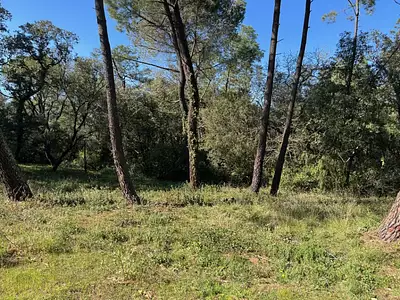 Maison neuve, 50 m²