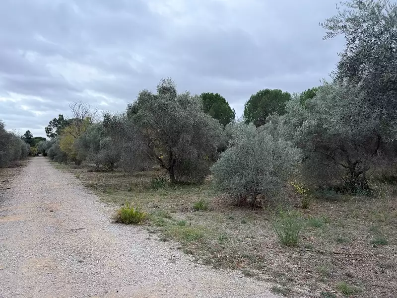 Terrain à bâtir, 300 m² - Ceyras (34800)