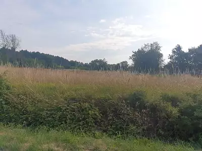 Maison neuve, 88 m²