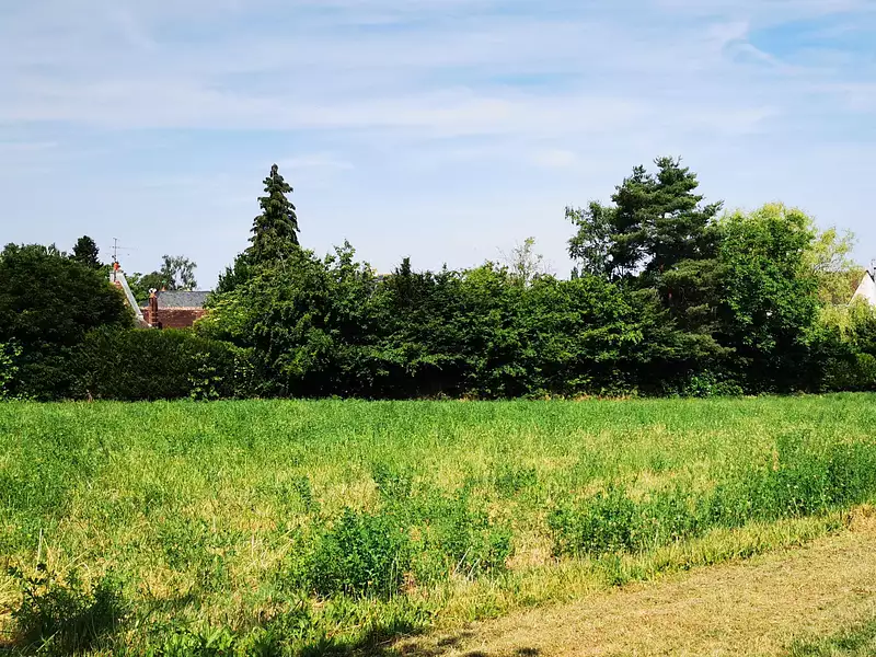 Maison neuve, 79 m² - Ligueil (37240)