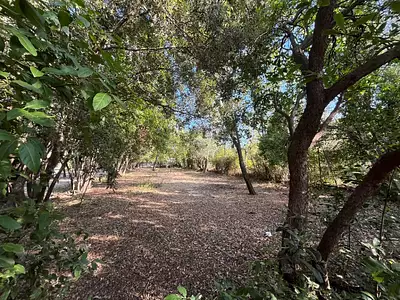 Maison neuve, 120 m²