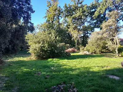 Maison neuve, 60 m²
