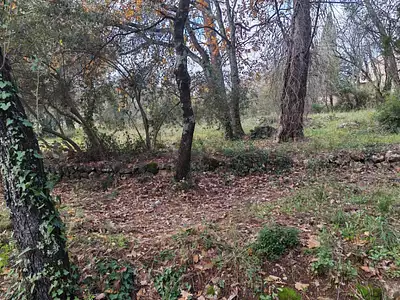 Terrain à bâtir, 1 882 m²