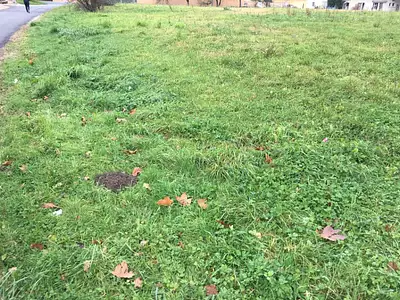 Terrain à bâtir, 2 950 m²