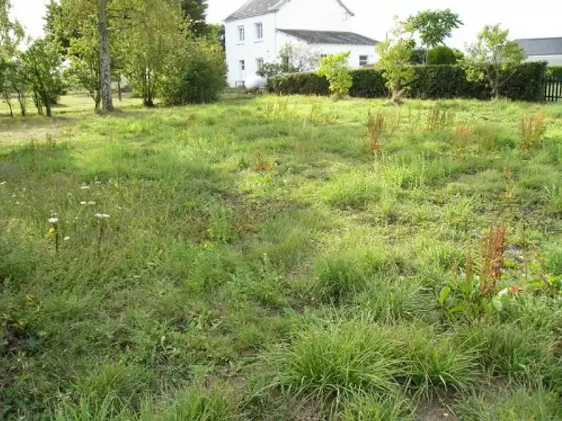 Terrain à bâtir, 400 m² - Pontchâteau (44160)