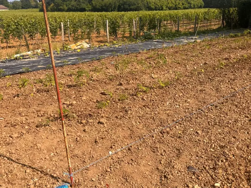 Terrain à bâtir, 600 m² - Créon (33670)