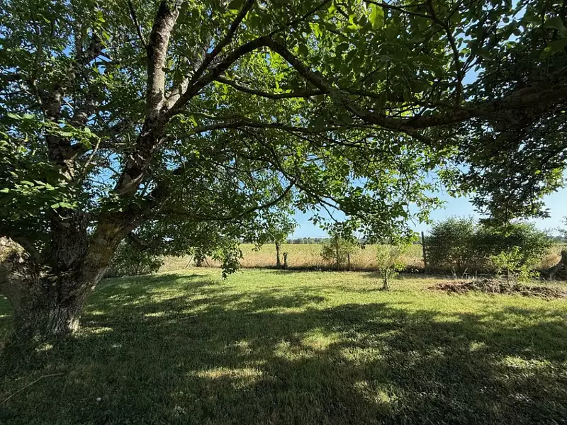 Terrain à bâtir, 684 m² - Monts (37260)