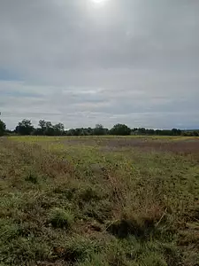 Terrain à bâtir, 380 m²