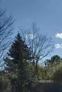 Terrain à bâtir, 340 m²