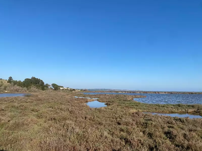 Terrain à bâtir, 604 m² - Bages (11100)