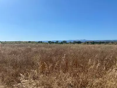 Maison neuve, 70 m²