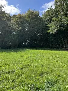 Maison neuve, 55 m²