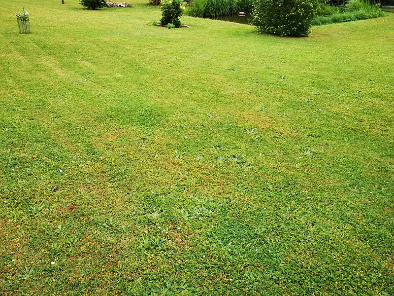 Terrain à bâtir, 1 706 m² - Perrusson (37600)