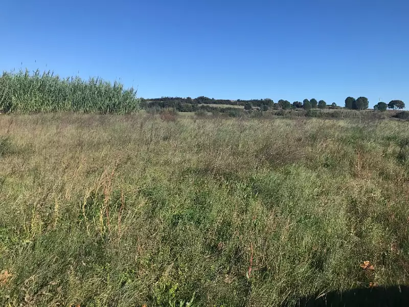 Terrain à bâtir, 358 m² - Brignac (34800)