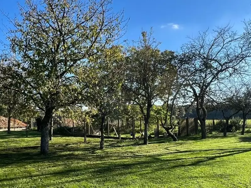 Terrain à bâtir, 1 077 m² - Emalleville (27930)