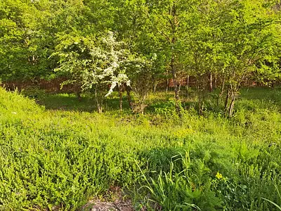 Terrain à bâtir, 580 m²