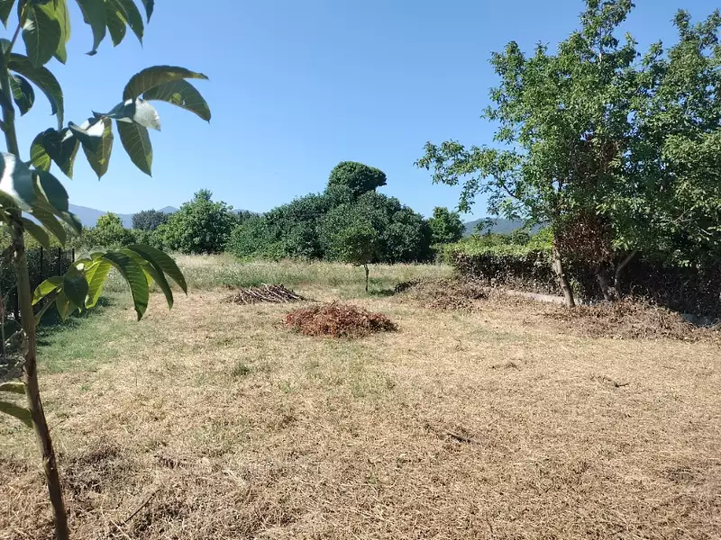 Maison neuve, 70 m² - Le Luc (83340)
