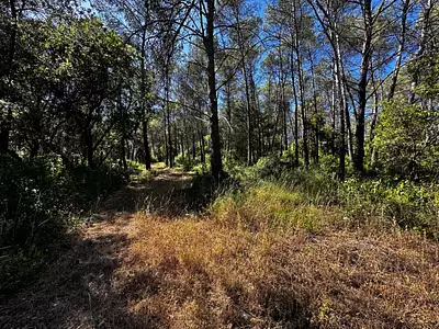 Maison neuve, 105 m²