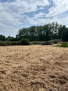 Terrain à bâtir, 564 m²