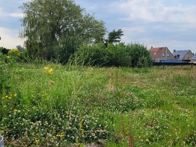 Terrain à bâtir, 526 m² - Herzeele (59470)