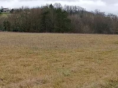 Maison neuve, 95 m²