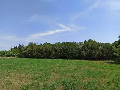 Maison neuve, 120 m²