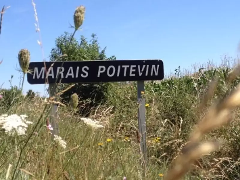 Terrain à bâtir, 1 000 m² - La Ronde (17170)