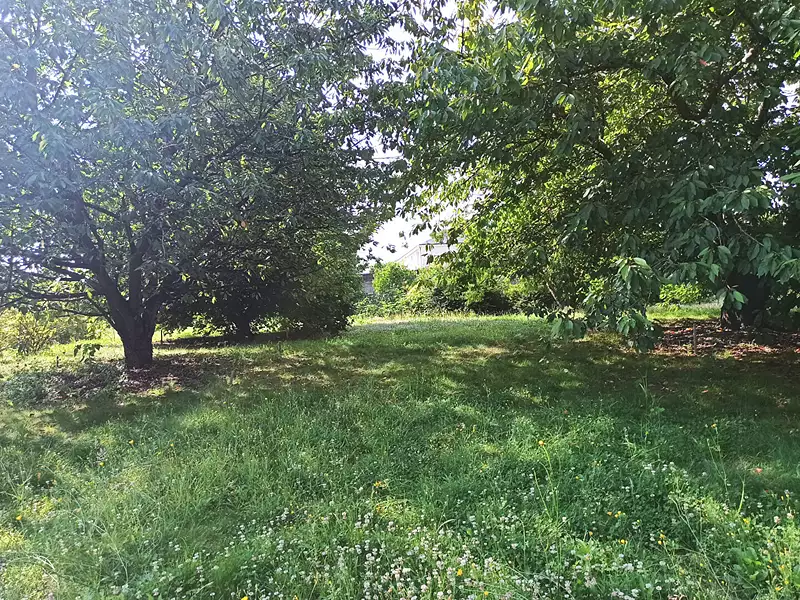 Maison neuve, 76 m² - Saint-Aignan (41110)