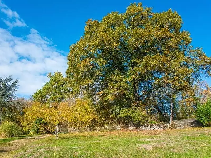 Terrain à bâtir, 675 m² - Conflans-Sainte-Honorine (78700)