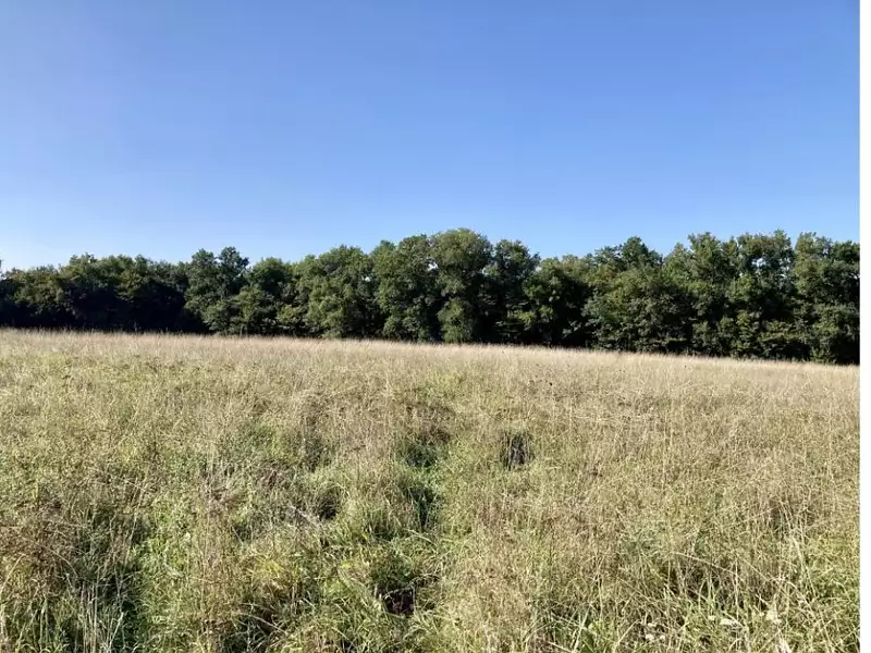 Terrain à bâtir, 500 m² - Castelnau-de-Médoc (33480)