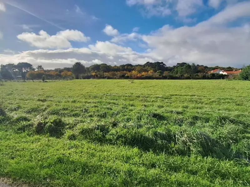 Terrain à bâtir, 590 m² - Saint-Palais-sur-Mer (17420)