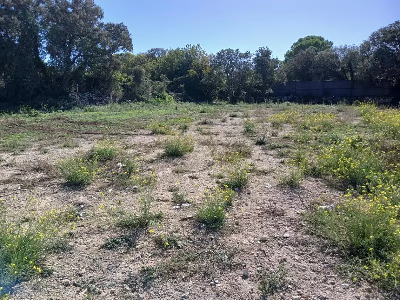 Terrain à bâtir, 315 m² - Vic-la-Gardiole (34110)