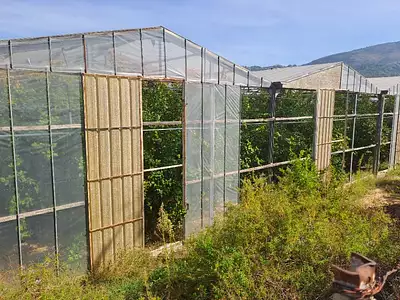 Terrain à bâtir, 441 m²