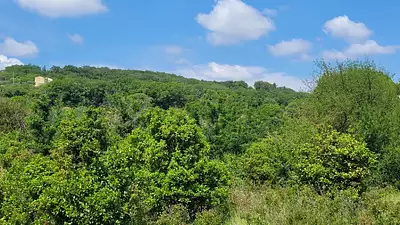 Terrain à bâtir, 937 m²