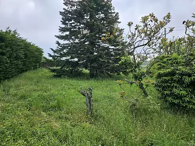 Terrain à bâtir, 1 000 m²