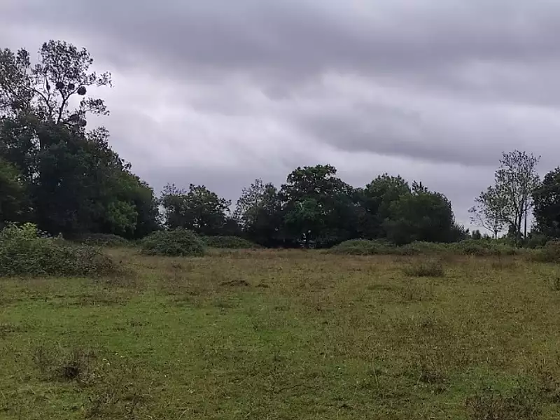 Terrain à bâtir, 1 304 m² - Trouville-sur-Mer (14360)