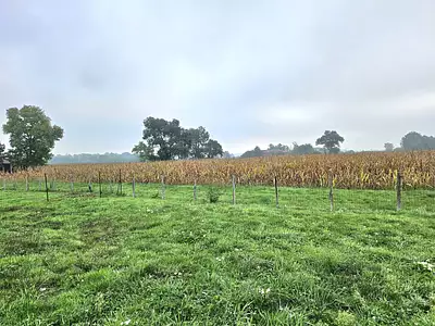 Maison neuve, 100 m²