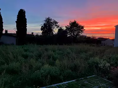 Terrain à bâtir, 446 m²