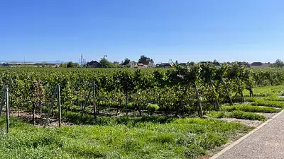 Maison neuve, 120 m²