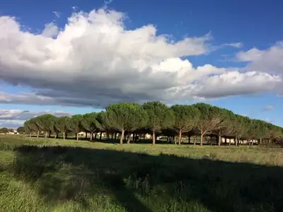 Maison neuve, 162 m²