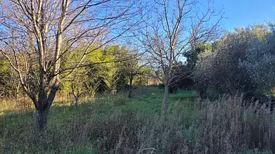 Maison neuve, 97 m²