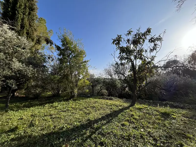 Terrain à bâtir, 1 799 m² - Flayosc (83780)