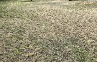 Terrain à bâtir, 391 m²